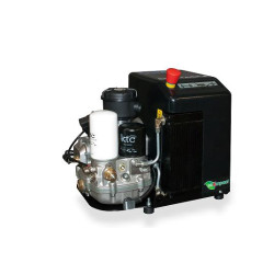 COMPRESOR CU SURUB 220V COMPRESOR CU SURUB 220V