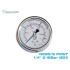 GLYCERIN PRESSURE GAUGE D63 POST 1/4 0-16 BAR