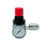PRESSURE REGULATOR WITH GAUGE AND RAPID COUPLING
